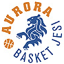 https://img.hrbxjljx.com/img/basketball/team/a77950f390405e3042f9691c09d63251.gif